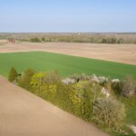 Kuidas peaks põllumees jaksama osta põllumaad? Loe pikemalt- https-::www.pollumajandus.ee:sisuturundus:2021:10:26:kuidas-peaks-pollumees-jaksama-osta-pollumaad