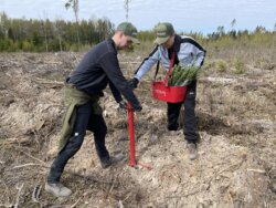 Asjatundlik laenupartner põllu- ja metsamehele - LandCredit